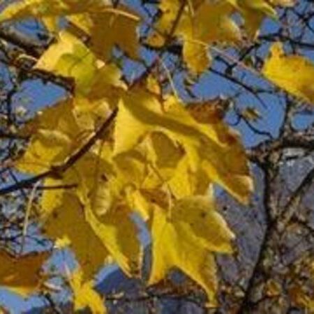 Natur und Mensch im Jahreskreis